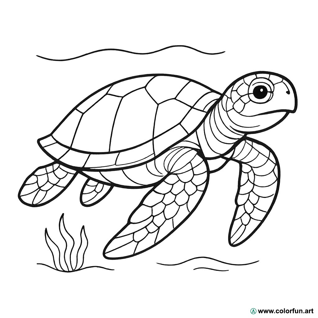 coloriage tortue de mer réaliste