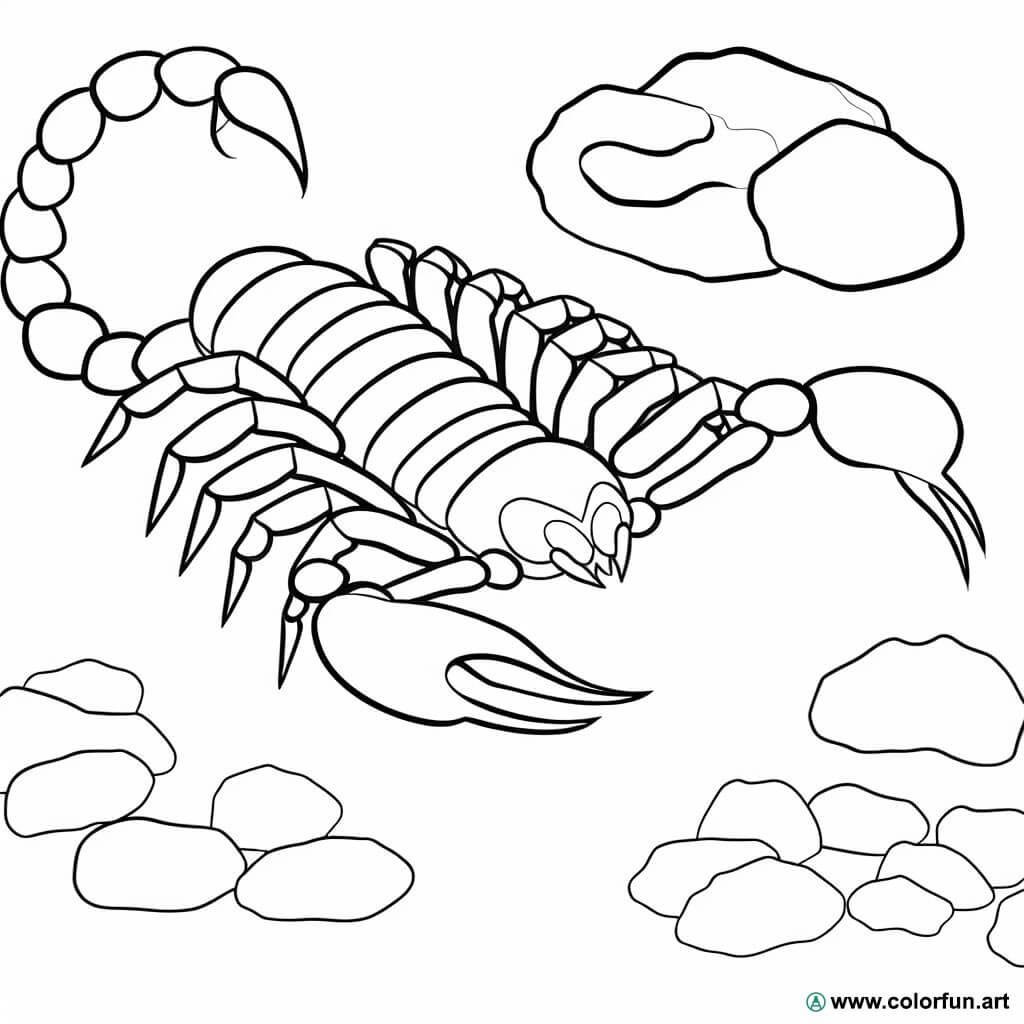 coloriage scorpion réaliste