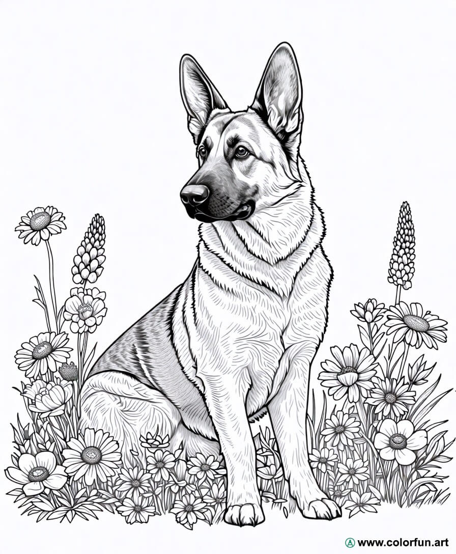 Coloriage D un Berger Allemand Avec Des Fleurs T l charger Ou coloriage-d-un-berger-allemand-avec-des-fleurs-t-l-charger-ou